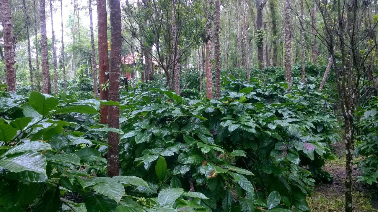 Rai Cottage @ Coorg ,Suntikoppa Экстерьер фото