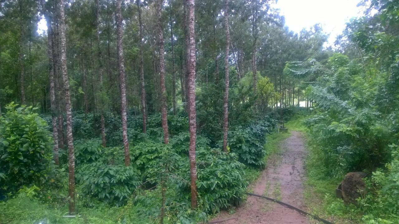 Rai Cottage @ Coorg ,Suntikoppa Экстерьер фото