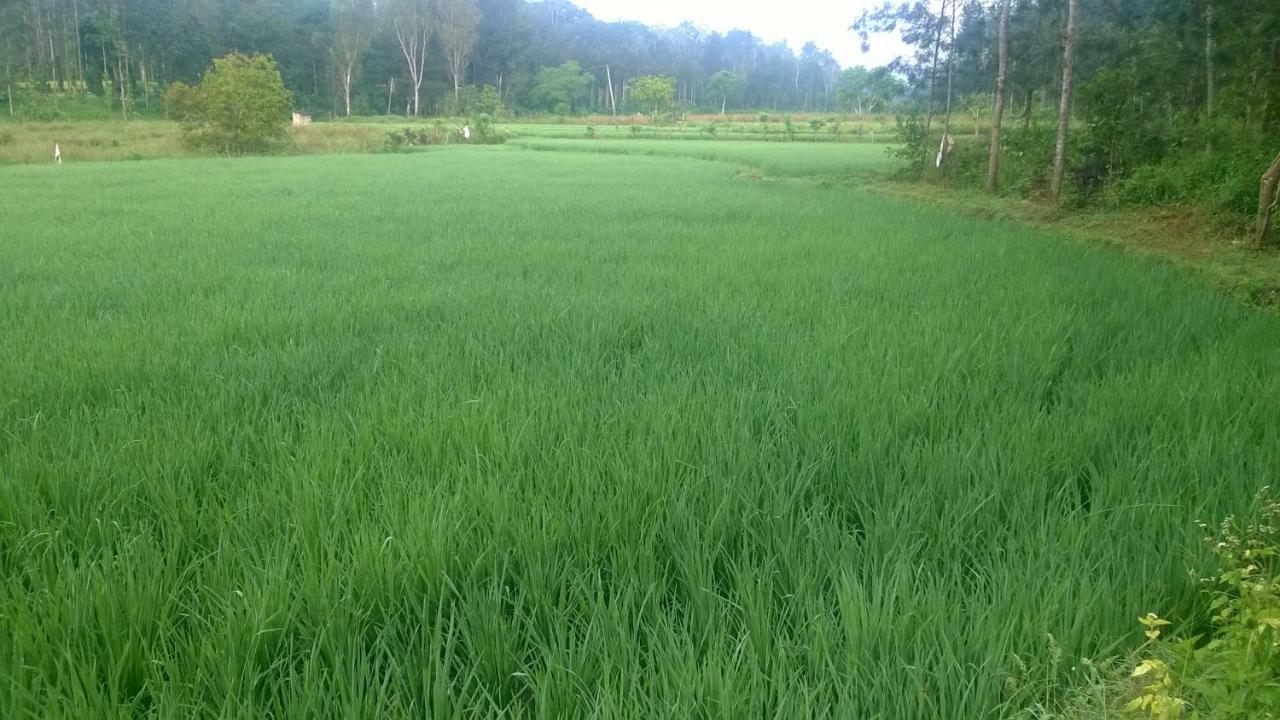 Rai Cottage @ Coorg ,Suntikoppa Экстерьер фото