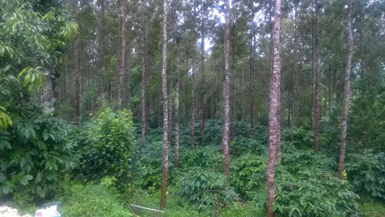 Rai Cottage @ Coorg ,Suntikoppa Экстерьер фото